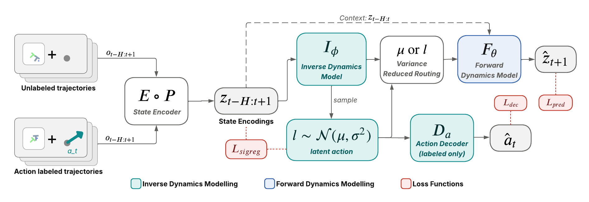 JEVA architecture and gradient flow
